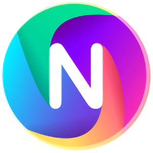NEWITMAN Technology Team Logo
